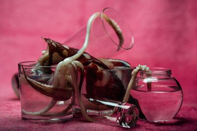 Close-up of drinking glass on table