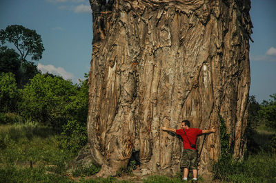 Trees growing on landscape