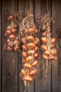 Directly above shot of carrots on table