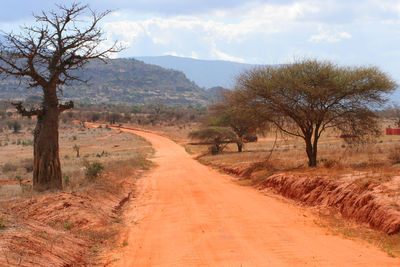 Road passing through landscape