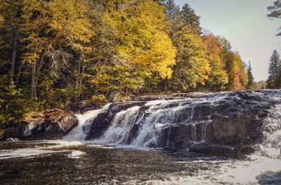 Scenic view of waterfall in forest