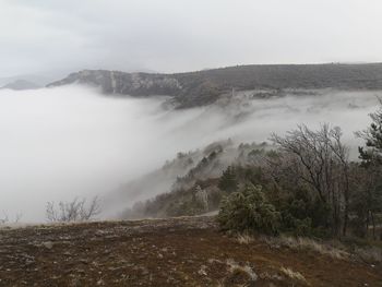 Above the fog