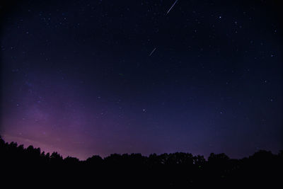 Low angle view of trees against star field