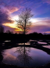 Silhouette tree by lake against sky during sunset
