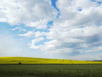 Scenic view of field against sky