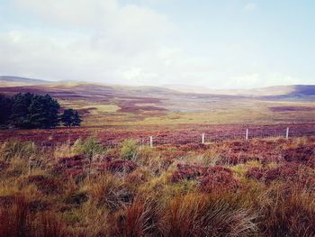 Scenic view of field and mountains against sky