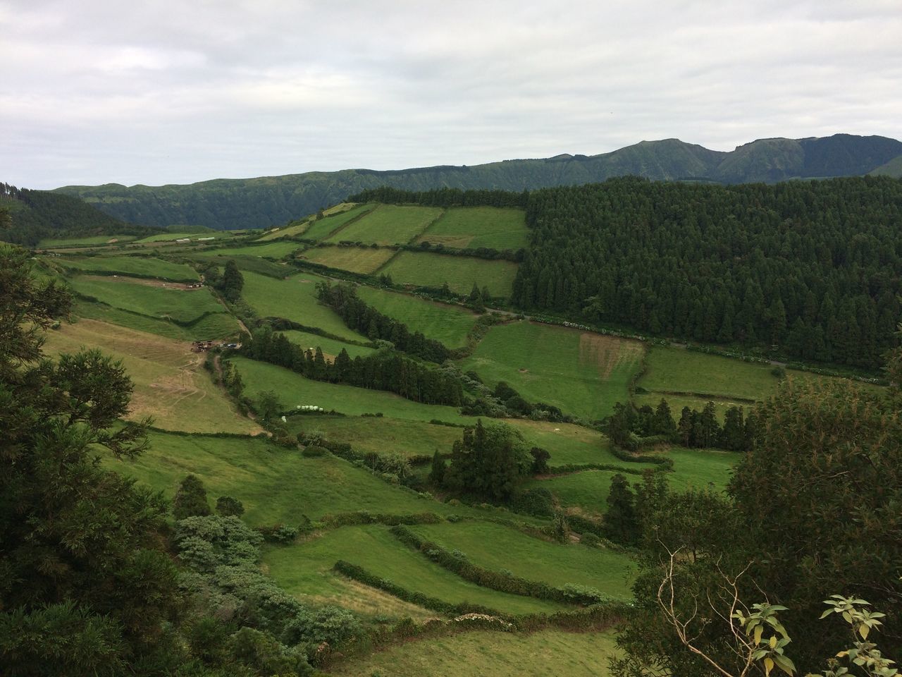 landscape, agriculture, field, tranquil scene, beauty in nature, scenics, nature, rural scene, farm, tranquility, green color, sky, no people, day, outdoors, grass, growth, tree, patchwork landscape