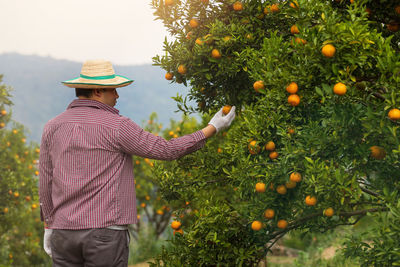 Rear view of person standing by tree