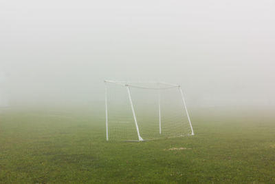 Trees in foggy weather