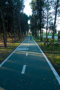 View of empty road along trees
