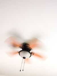 Ceiling fan, low angle view, movement