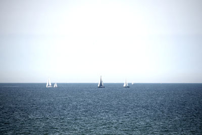 Sailboat sailing on sea against clear sky