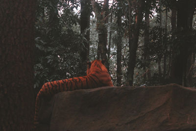 Man sitting on tree trunk in forest