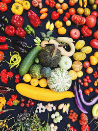 Full frame shot of food