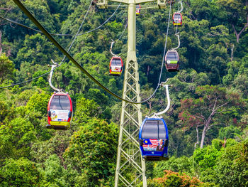 Overhead cable car amidst trees in forest