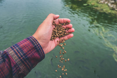 High angle view of hand holding sea