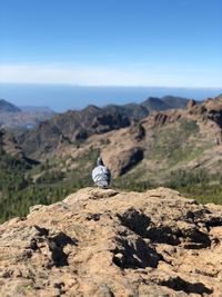 Rear view of person sitting on rock