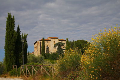 Plants growing on old building by trees against sky