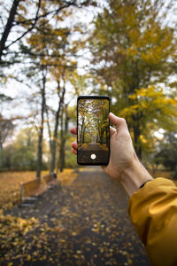 Human hand holding mobile phone in park
