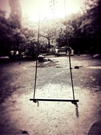 View of trees on road