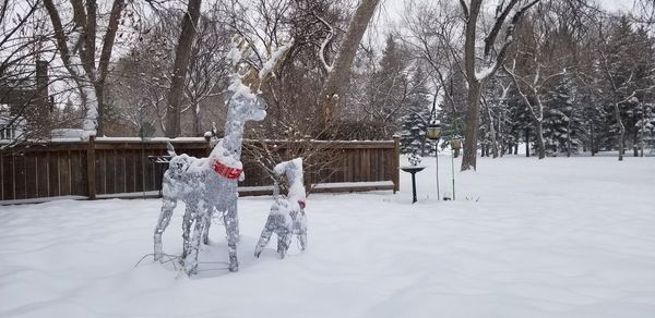 Snow covered trees on field during winter