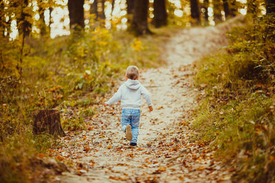 Rear view of girl walking on footpath in forest