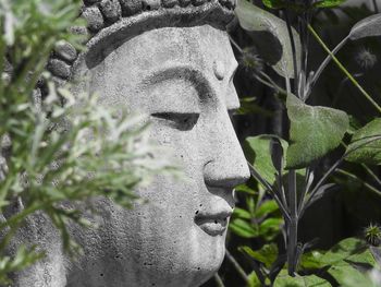 Close-up of statue in cemetery