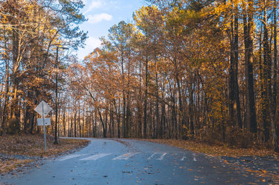 Road amidst trees in forest during autumn