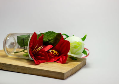 Close-up of red rose on white table