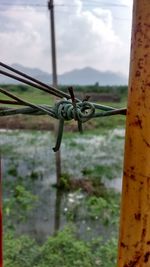 Close-up of barbed wire