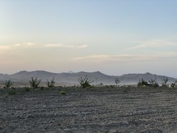 Scenic view of landscape against sky during sunset