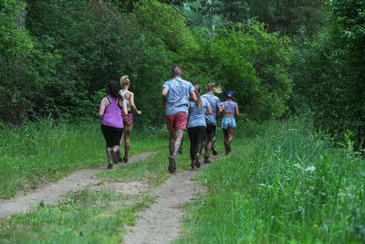 People walking on road amidst trees in forest