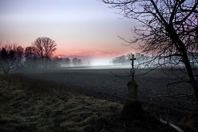 Bare trees on field against sky during sunset