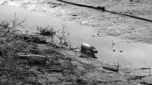 Abandoned bottles in puddle on field