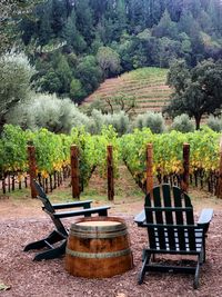 Chairs and table against trees in yard