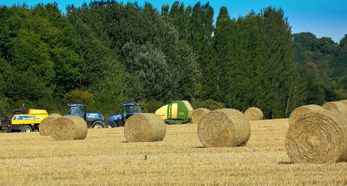 View of hay bales on field