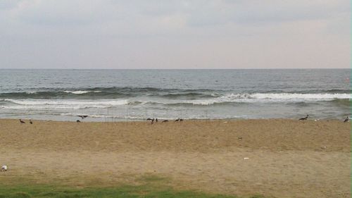 Scenic view of beach