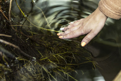 Woman taking clear water at a lake by hand. closeup