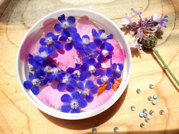 High angle view of purple flowers in bowl on table