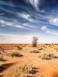 Scenic view of desert against sky