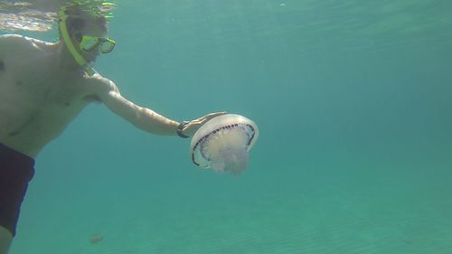 Man swimming in sea touching jellyfish