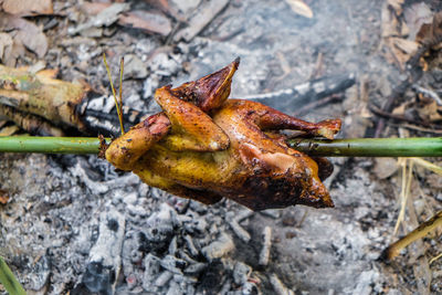 Close-up of crab on barbecue