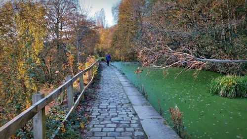 Rear view of person on footpath during autumn