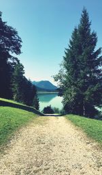 Scenic view of landscape against clear sky