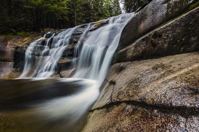 Low angle view of waterfall in forest