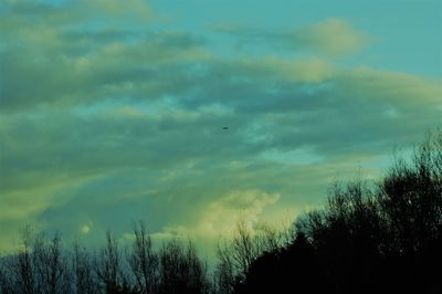 Low angle view of silhouette trees against sky at sunset