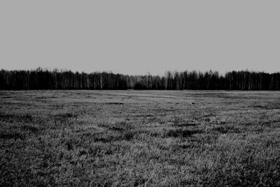 Scenic view of grassy field against sky