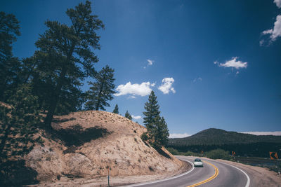 Road amidst trees against sky