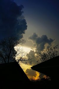 Low angle view of silhouette bare trees against sky