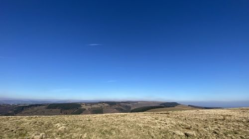 Scenic view of field against clear blue sky